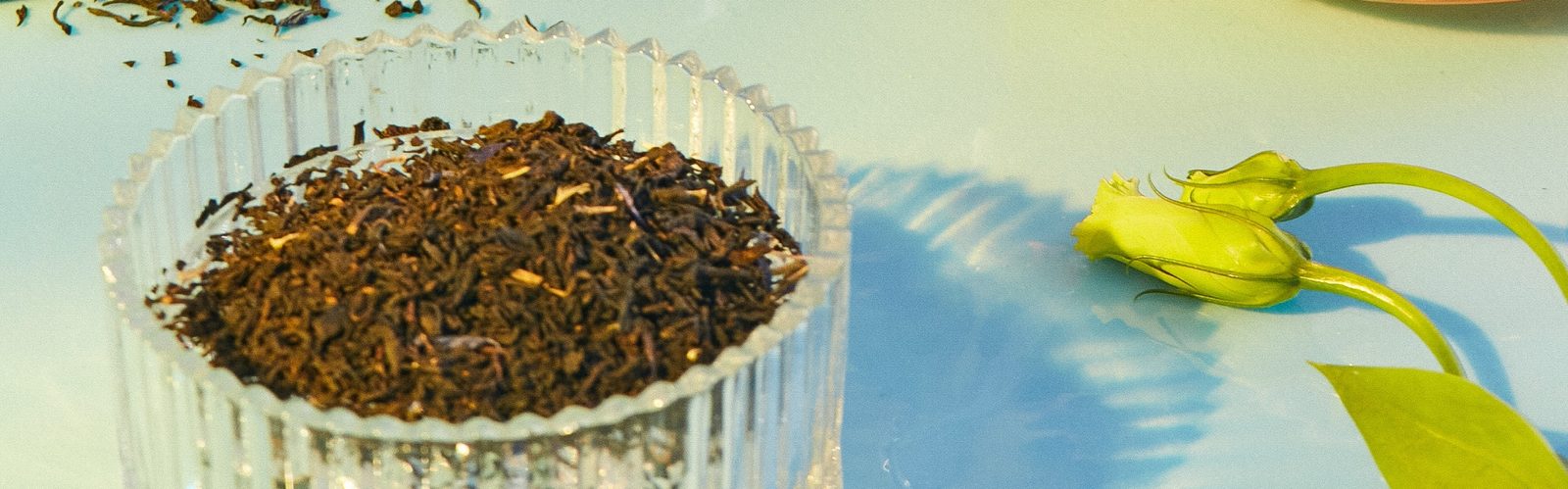 Hands sorting freshly harvested tea leaves